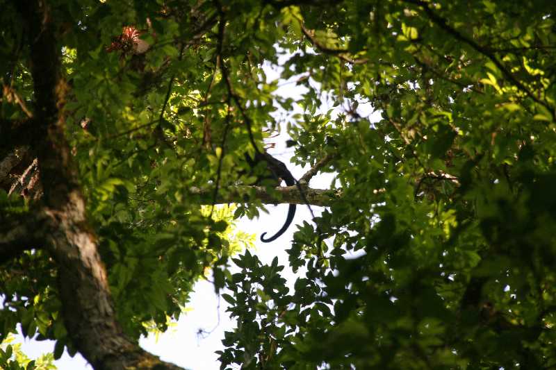 Mexico & Guatemala 2010 - 1060